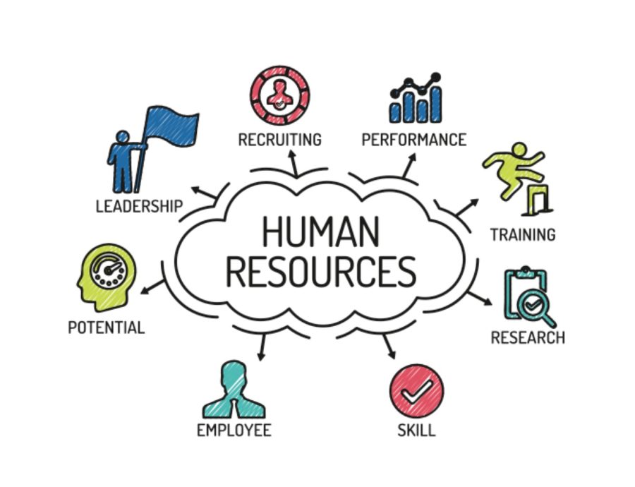 Shine Projects HR Internships